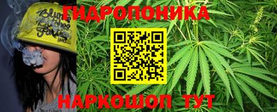 шишки Моздок