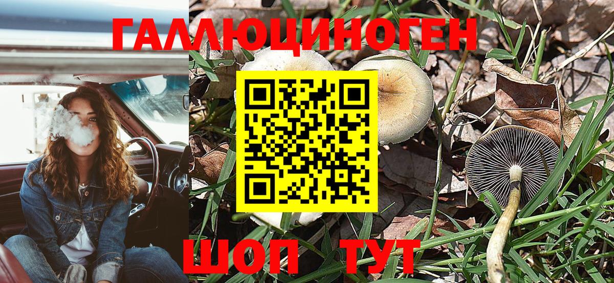 Псилоцибиновые грибы MAGIC MUSHROOMS Спасск-Дальний