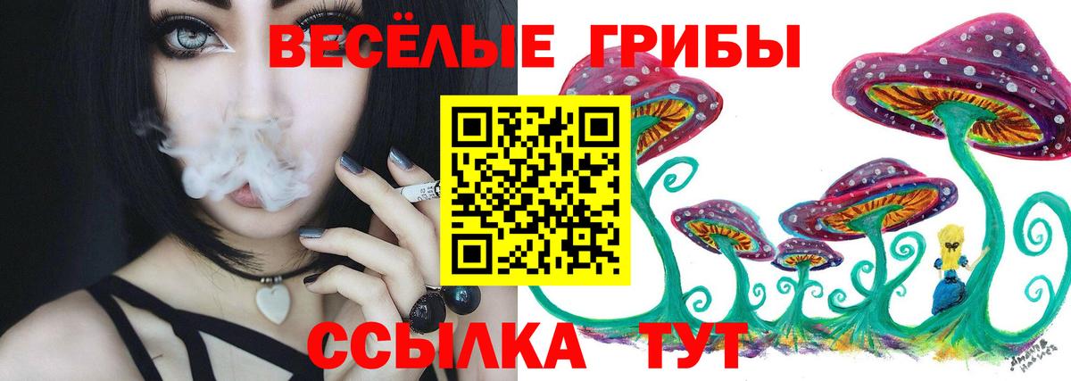 Спасск-Дальний  Псилоцибиновые грибы ЛСД  где продают   Вход с VPN 